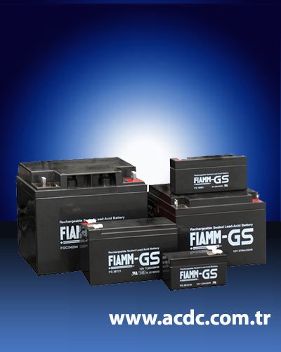 AGM Batteries